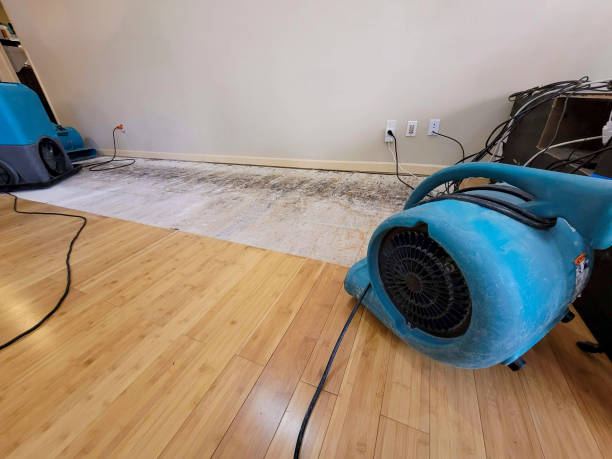 Professional Sewage Cleanup technician working in Economy, IN